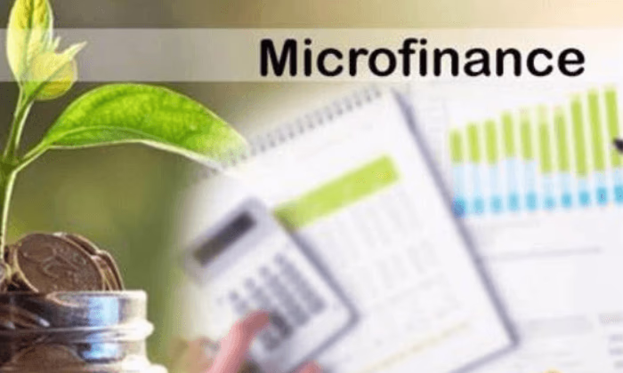 Национальный банк наложил штраф на микрокредитную компанию