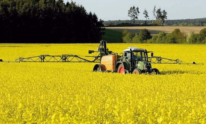 По проекту «Кредитование АПК» выделено 6,8 млрд сомов - Минфин КР