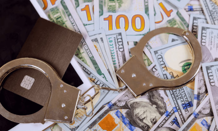 За полгода расследовалось 248 уголовных дел по финансовым пирамидам