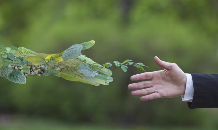 В Кыргызстане появился новый инновационный продукт «Эколизинг»