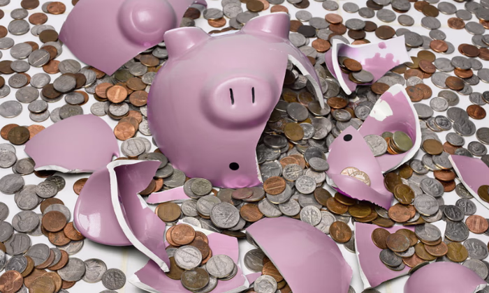 За год удвоились случаи мошенничества по новой схеме «Забой свиней»