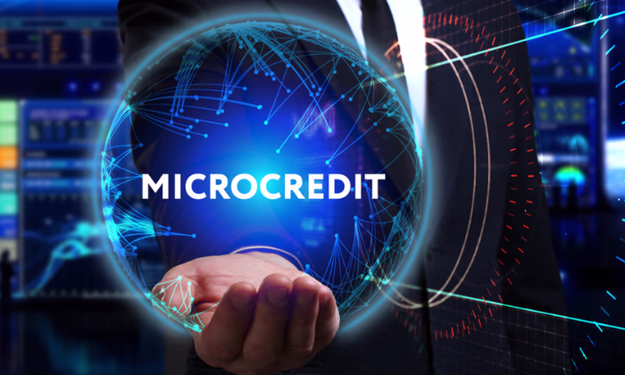 Потребители Ошской области получили более 20% микрокредитов