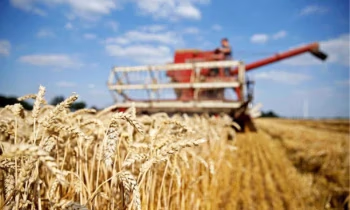 В рамках проекта «ФСХ-11» льготные кредиты получили 7 339 фермеров