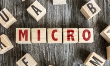 Микрокредитная компания столицы оштрафована на 55 000 сомов