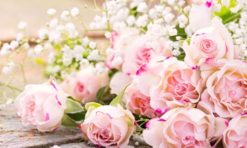 С днем рождения, Главный банк страны!