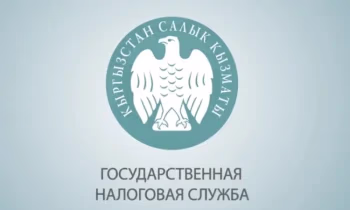 В ГНС прокомментировали заявление депутата Жогорку Кенеша о ККМ