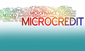 Нацбанк КР зарегистрировал микрокредитное агентство «Эко Сервис»