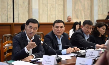 Депутаты предложили ввести торговый оборот внутри КР только в нацвалюте