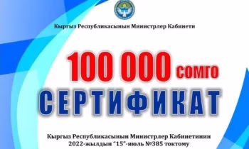 Почти 8 600 семей подали заявки на получение 100 000 сомов в рамках соцконтракта