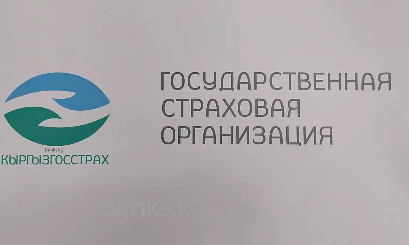 В Кыргызстане стал доступен новый вид страхования