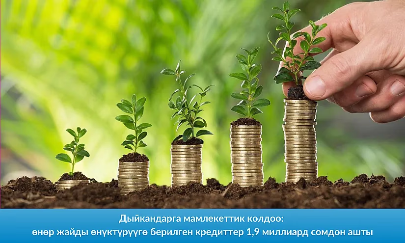 Дыйкандарга мамлекеттик колдоо: өнөр жайды өнүктүрүүгө берилген кредиттер 1,9 миллиард сомдон ашты