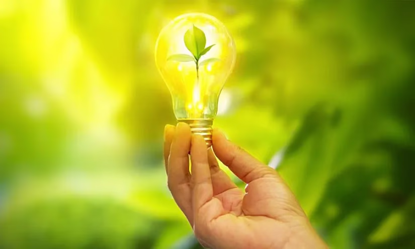 «Кепилдик фонду» ААКсы Дүйнөлүк банктын долбоорунун алкагында «Жашыл кепилдиктер» компонентин ишке ашырат