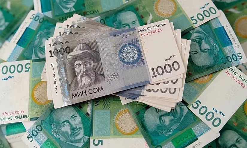 Сом укрепился к доллару и евро в начале года, но ослаб в апреле