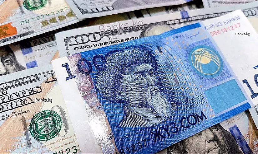 Улуттук банк 59,8 миллион АКШ долларына интервенция жүргүздү