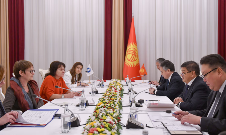 ЕБРР поддержит проекты по развитию приоритетных отраслей экономики КР