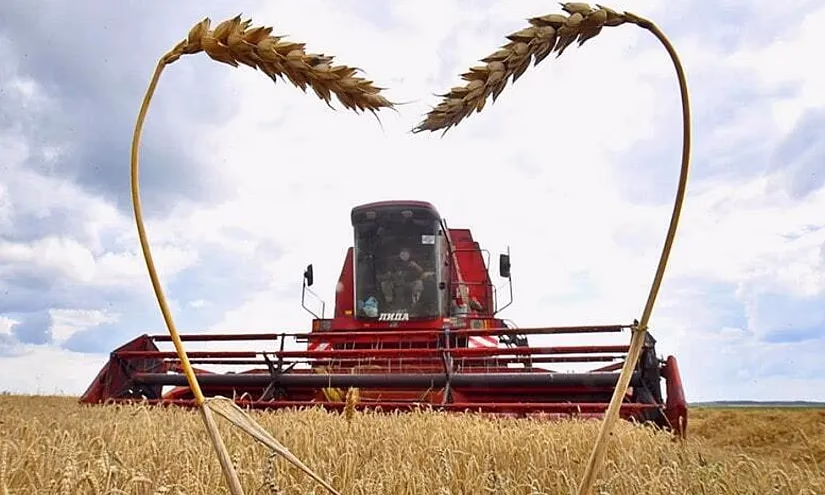 По проекту «ФСХ-13» профинансировано 3,7 млрд сомов льготных кредитов