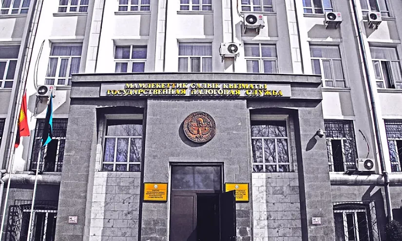 Салыктар каякка кетип жатат? Буга жаңы интерактивдүү кызмат жообун берет