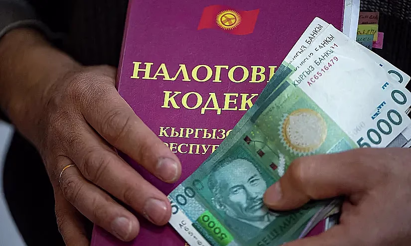 МСК: Орто бизнестин өкүлдөрү ай сайын бирдиктүү салык отчетун берүүгө милдеттүү