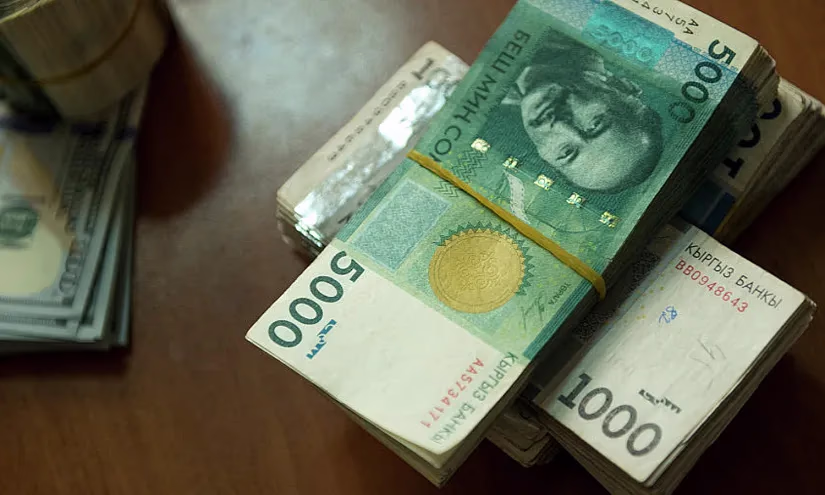 ГЦБ и банковские депозиты обеспечили Соцфонду почти 4,6 млрд сомов дохода