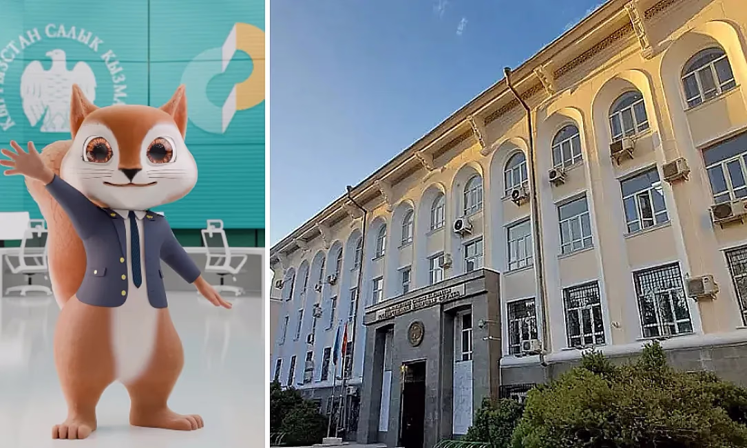 ГНС впервые в КР запустила виртуального помощника на основе ИИ