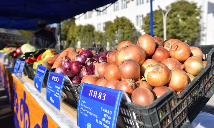 В Баткене прошел инвестиционный форум «Развитие Баткена - развитие страны»