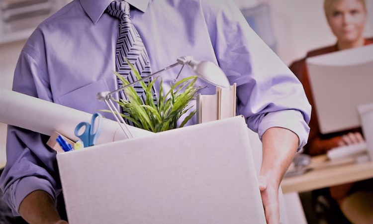 Прошу уволить меня по собственному желанию! Правила для работников и работодателей