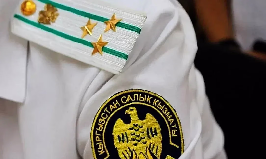 Кыргызстанда салык төлөөдөн качкандар менен күрөшүү үчүн салык «полициясы» түзүлөт