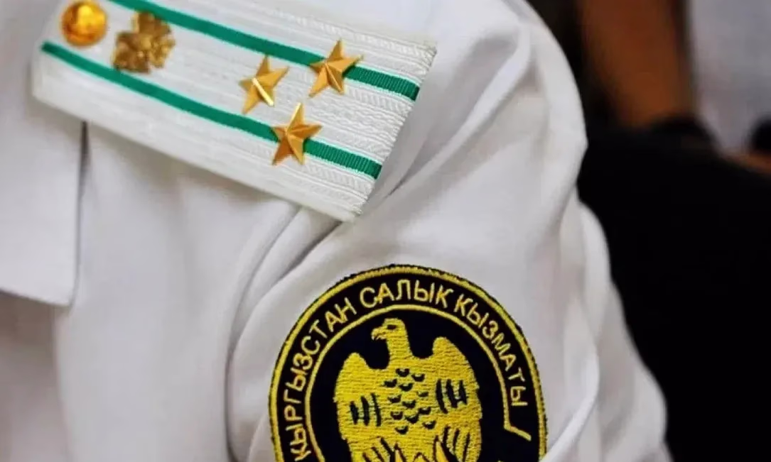 ГНС отозвала проект о создании налоговой «полиции»