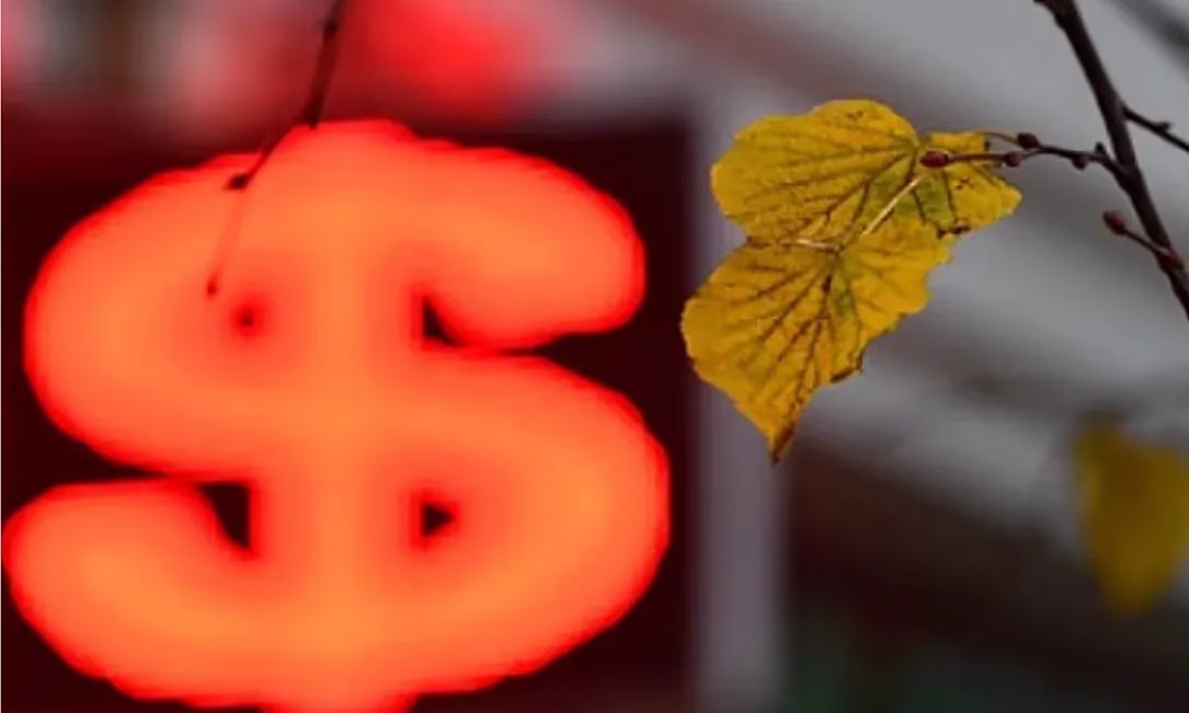 В Токмоке временно закрыто обменное бюро, в Оше и Бишкеке оштрафованы 3 обменки