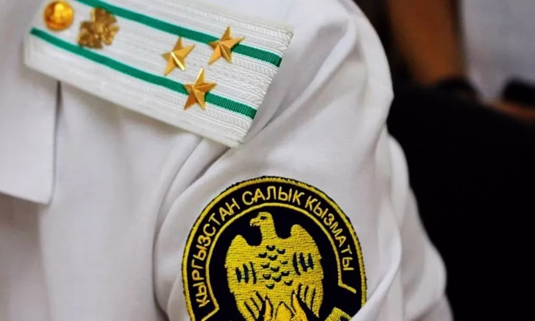 Расширен перечень видов НКО, обязанных представлять сводную информацию в ГНС