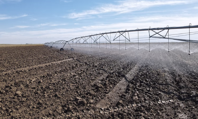 КХ «Раимбек» приобрело дождевальную систему в лизинг от «Айыл Банк»