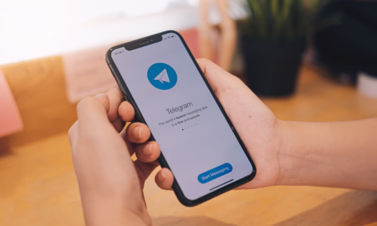 Антикоррупционный деловой совет КР запустил Telegram-бот канал