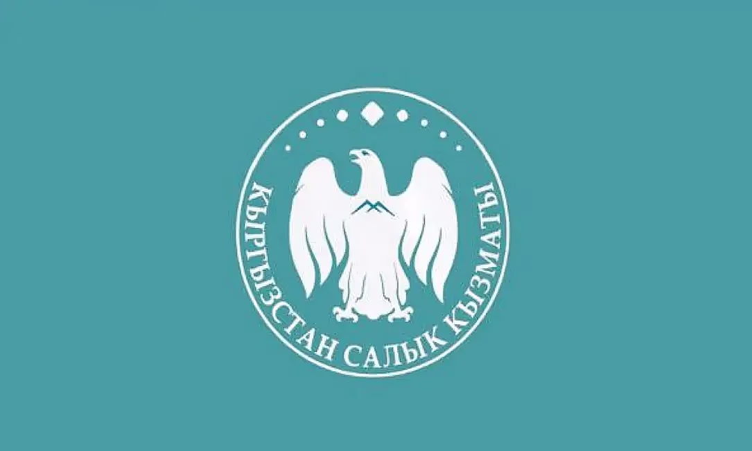 Кыргызстандын салык кызматынын жаңы туусу жана символикасы бекитилди