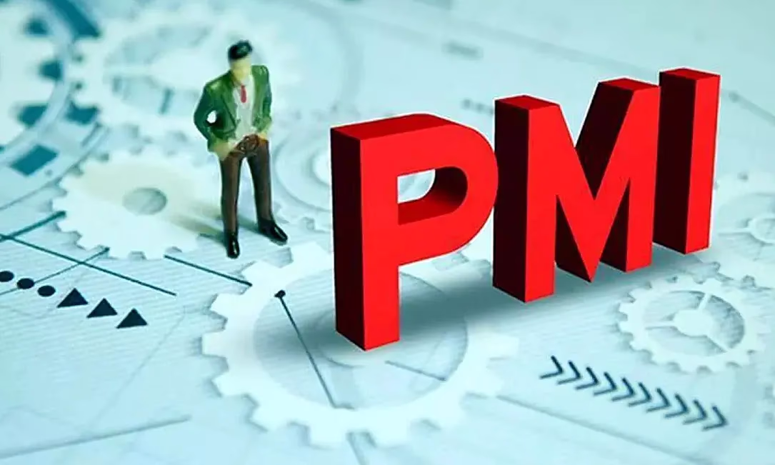 Кыргызстандын PMI көрсөткүчү Евробиримдикке, Улуу Британияга, Японияга жана Россияга караганда жогору