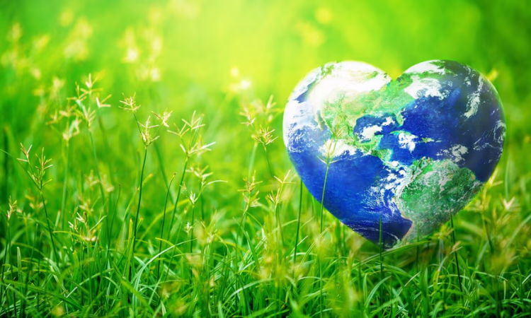 «Форум реального бизнеса» приглашает предпринимателей на эко-акцию