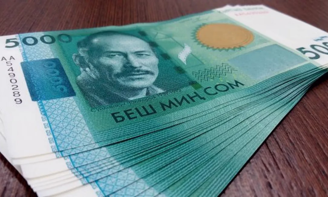 Свыше 229 тысяч кыргызстанцев получили выплаты из накопительной части пенсии