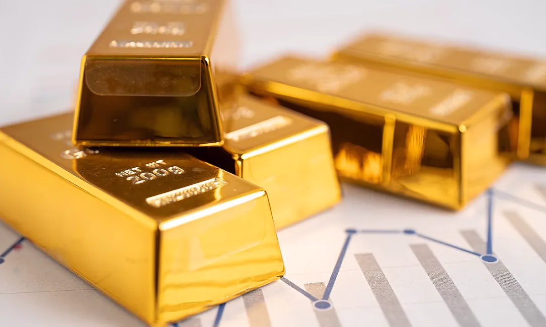 Куда вложат пенсионные деньги кыргызстанцев: обсуждаются золото и акции