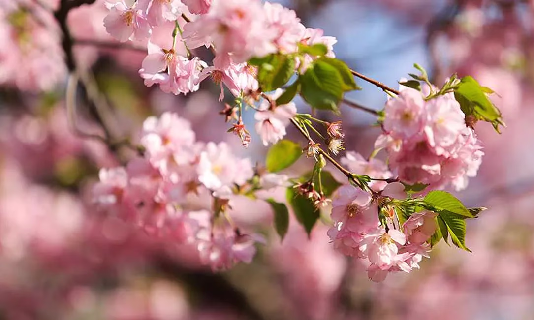 Майские праздники 2026: режим работы дежурных филиалов и отделений банков в Бишкеке и регионах