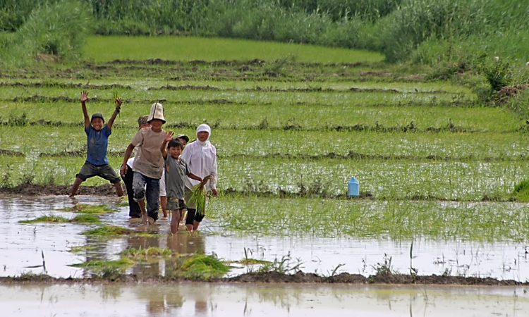 РКФР профинансировал 110 проектов в Баткенской области