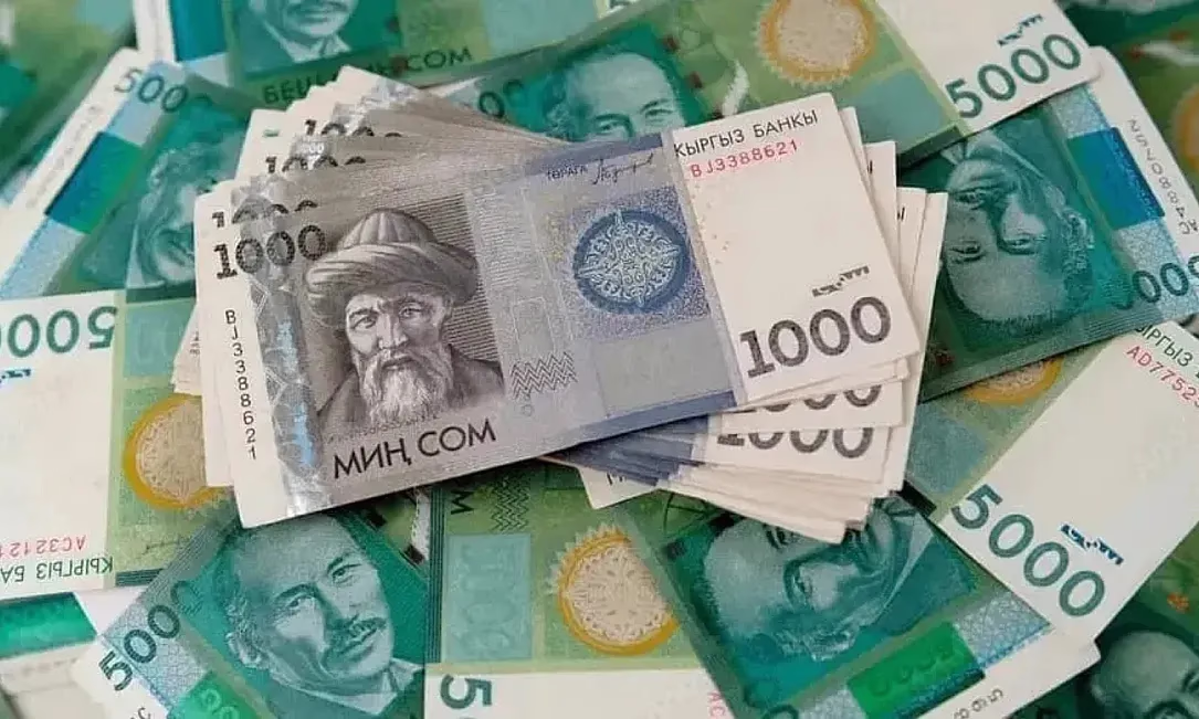 Куда вложили пенсионные деньги кыргызстанцев и сколько заработали