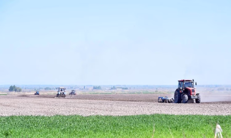 Фермеры просят руководство страны об отсрочке по кредитам