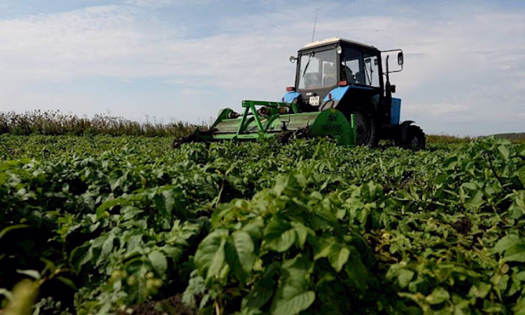 За полгода ОАО «ГФ» выдало гарантий на сумму 540 миллионов сомов