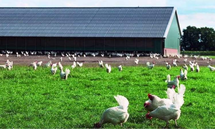 Проект РКФР повысит продовольственную безопасность страны