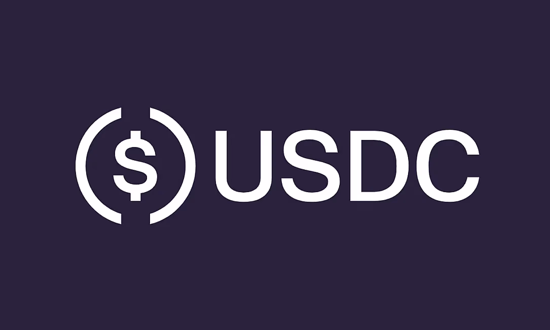 Binance вложила $100 млн в USDC