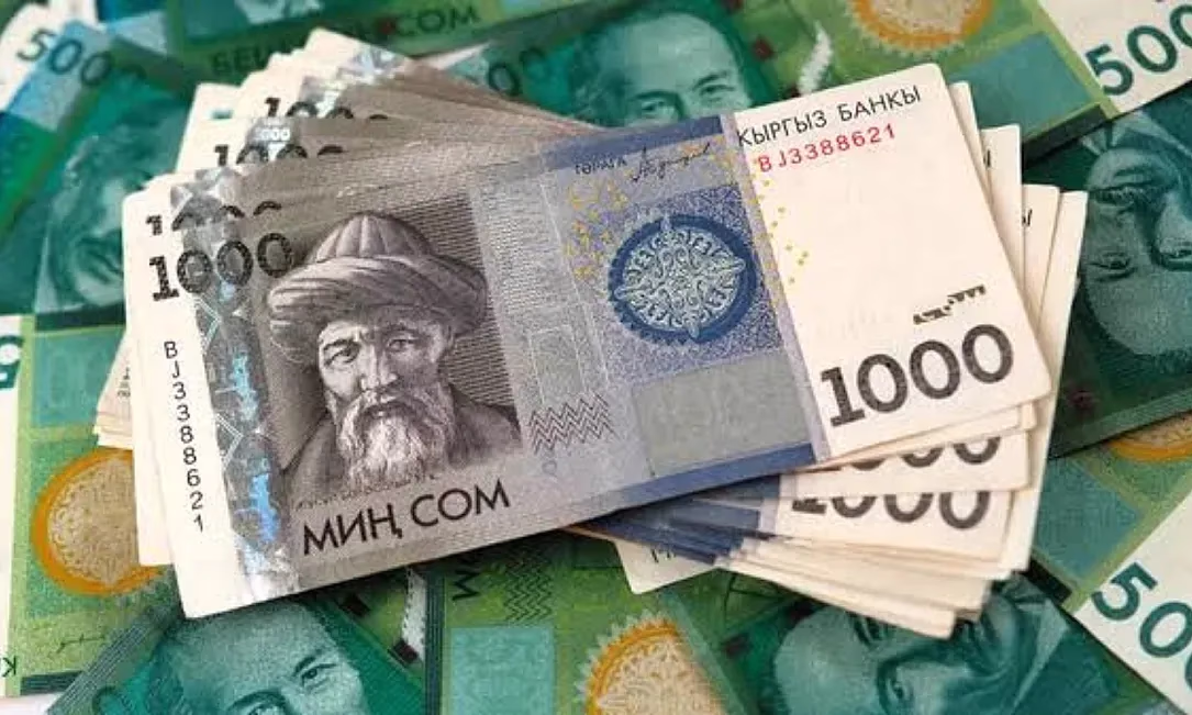 Госбанки получат 5 млрд сомов на кредитование пищевой промышленности