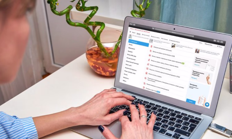 За полгода сайтом ГНС воспользовались 7 миллионов человек