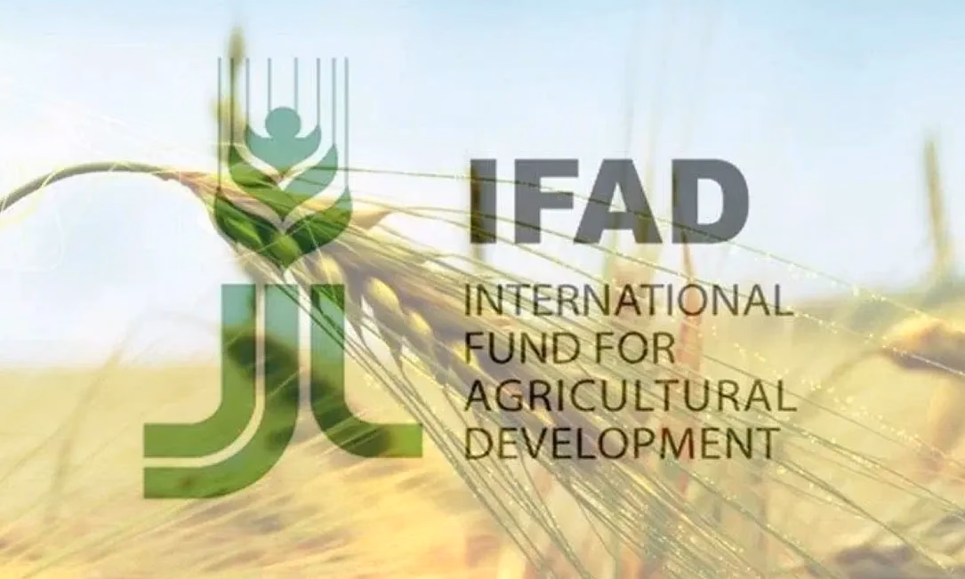 Борьба с бедностью в селах: IFAD предоставит Кыргызстану 21 млн долларов под 0% годовых