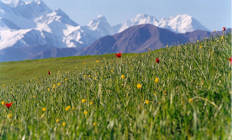 Предприниматели и инвесторы Баткенской области получат налоговые преференции