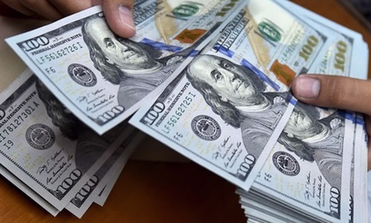 Рекордные 62 млн долларов направлены на поддержку сома