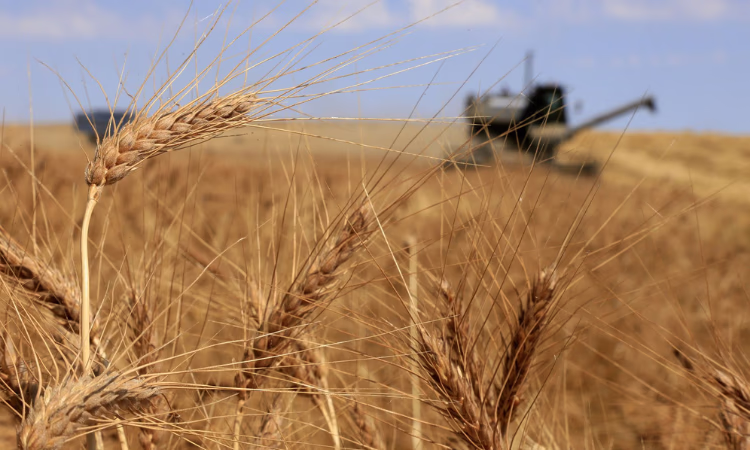 В 2,5 раза выросло число предоставленных «Гарантийным фондом» услуг